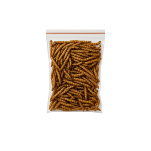 insectes pour fourmis