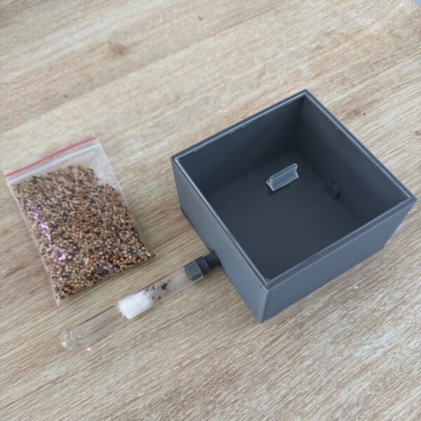 Kit Économique Messor Barbarus – Image 2
